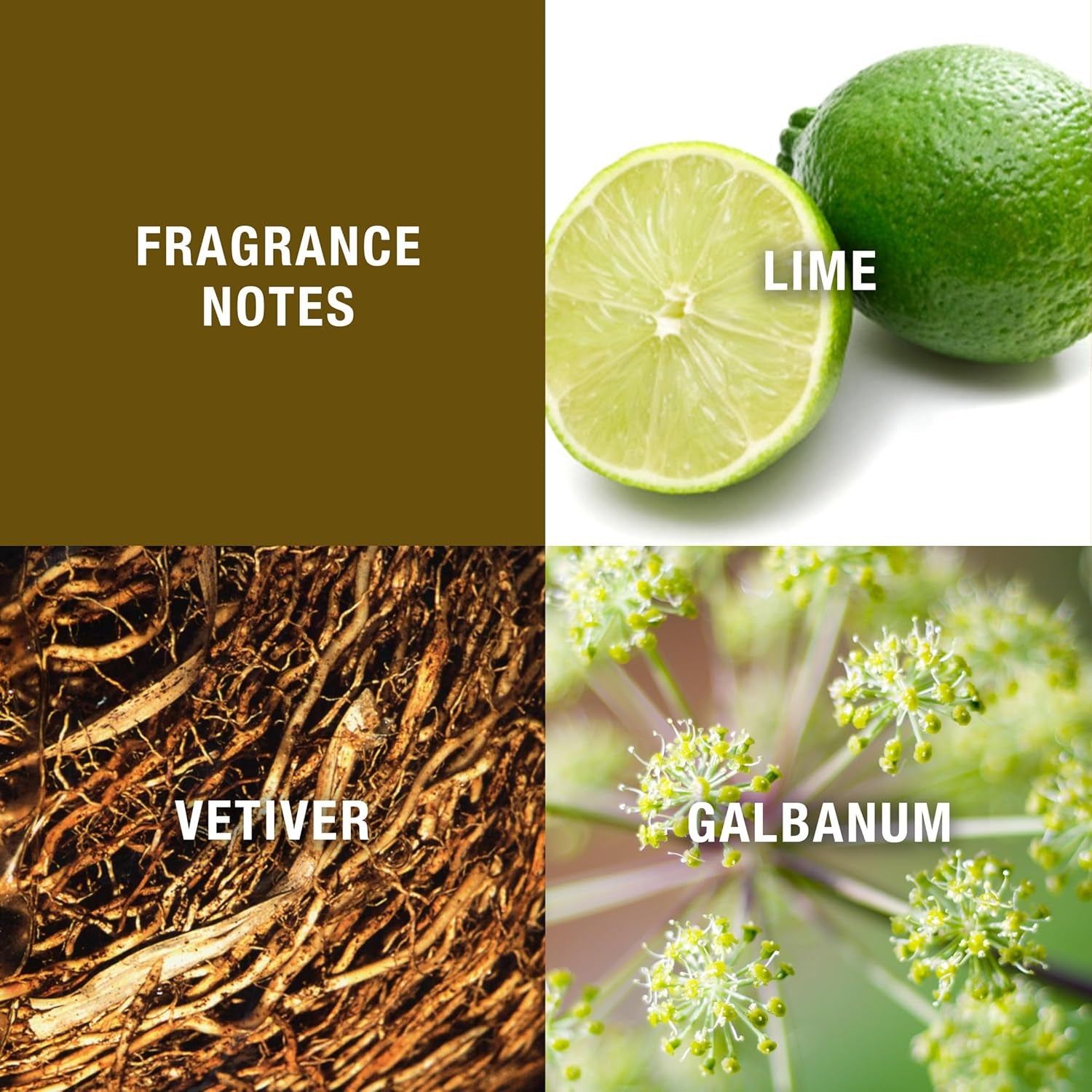 Men'S Cologne, 1-12 Eau De Cologne EDC Spray, 4.2 Fl Oz